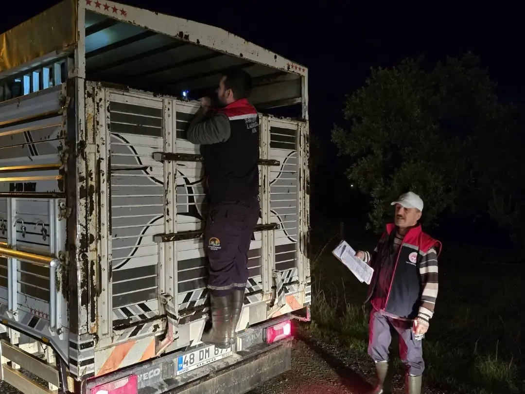 Aydın’da hayvan pazarlarında sıkı denetim - 2