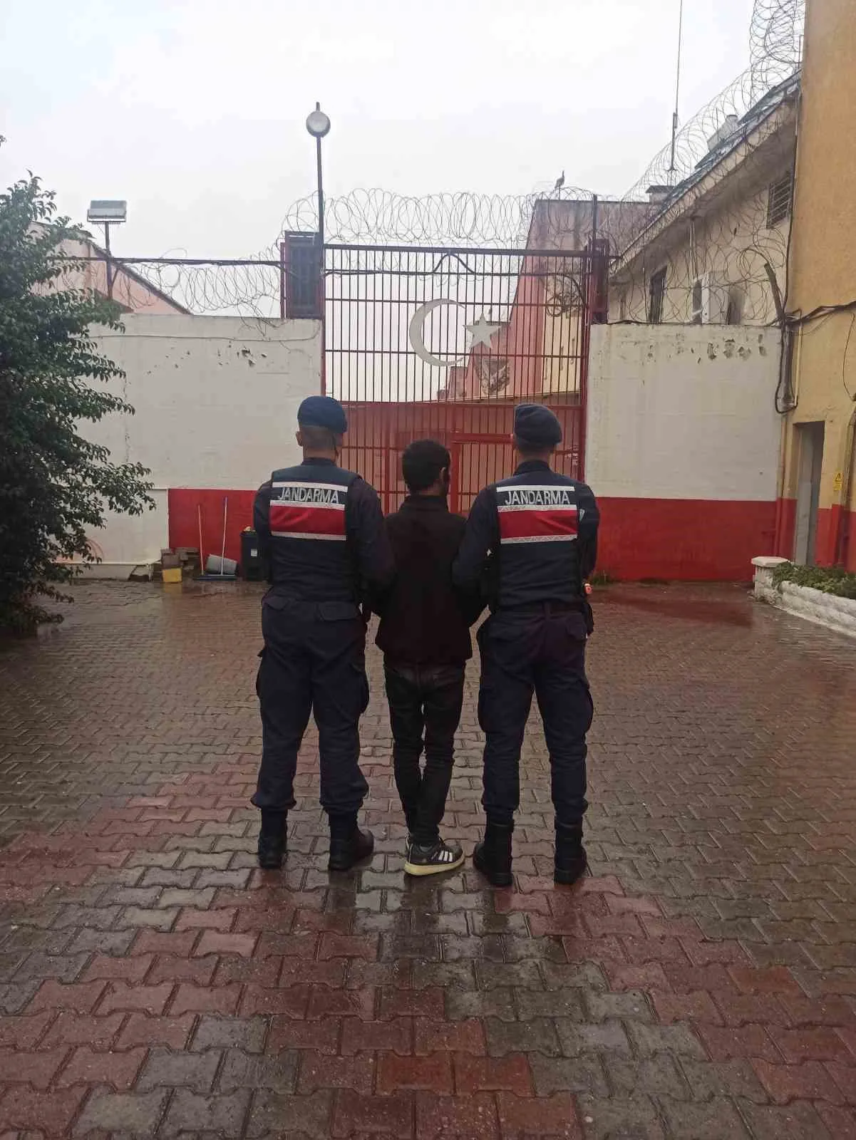 Koçarlı’da çaldığı büyükbaş hayvanları satan şüpheli tutuklandı - 2