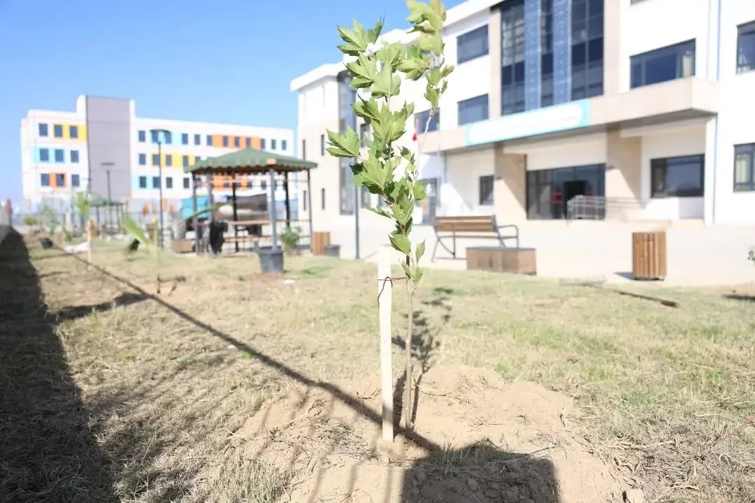 İncirliova’da özel eğitim okulunun bahçesi yeşillendi - 2