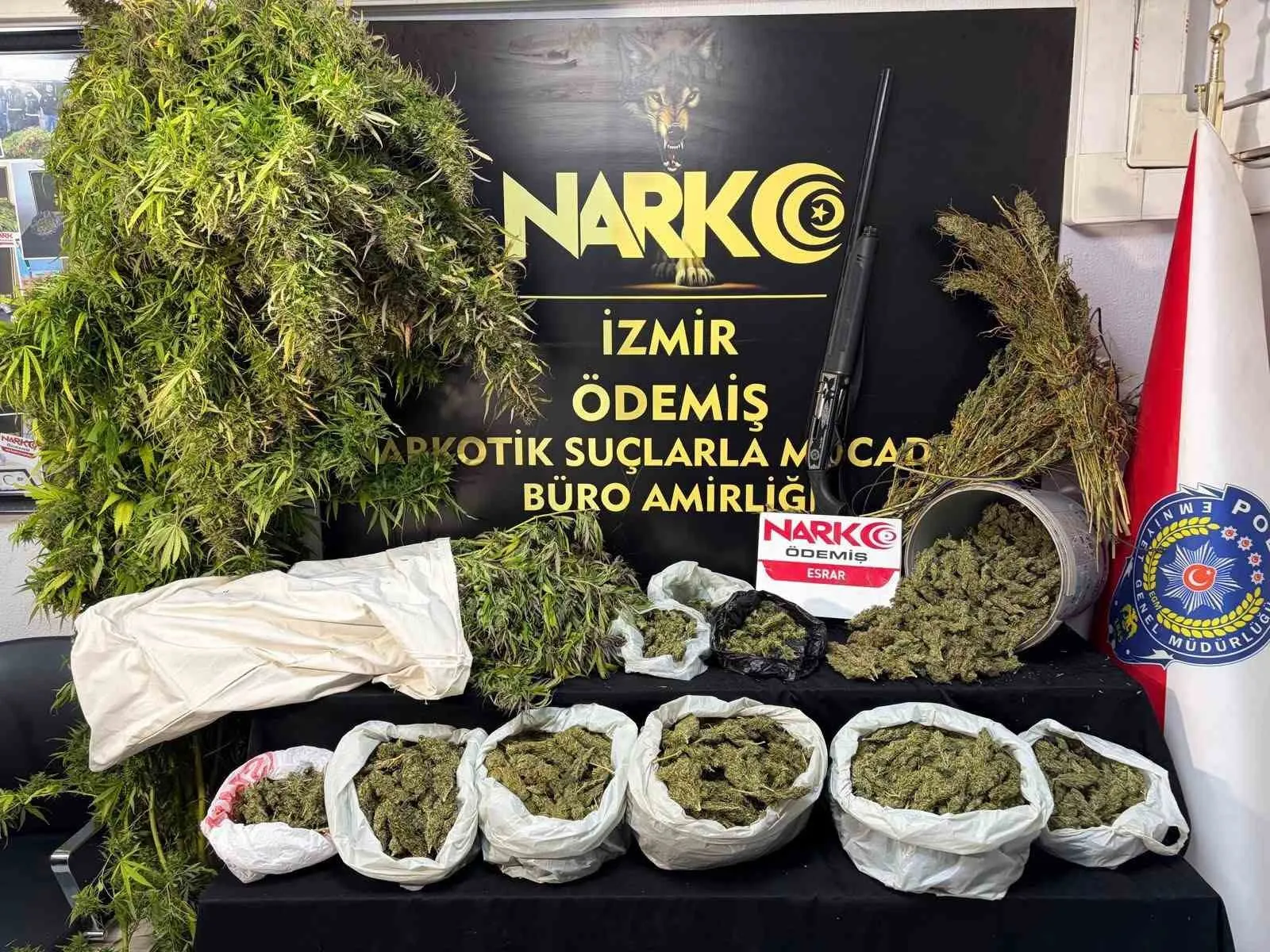 İzmir polisinden uyuşturucu baskınları: 7 kilo esrar ve binlerce hap ele geçirildi