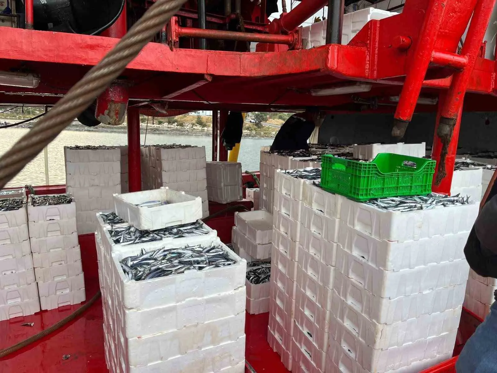 Didim’de su ürünleri avcılığı denetimleri sürüyor - 4