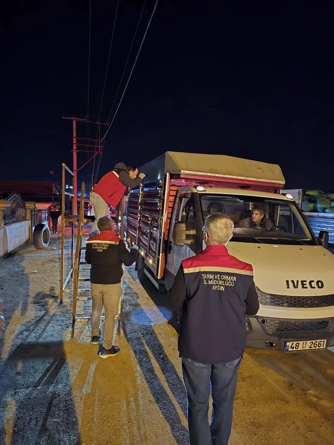 Aydın’da hayvan pazarında sıkı denetim - 3