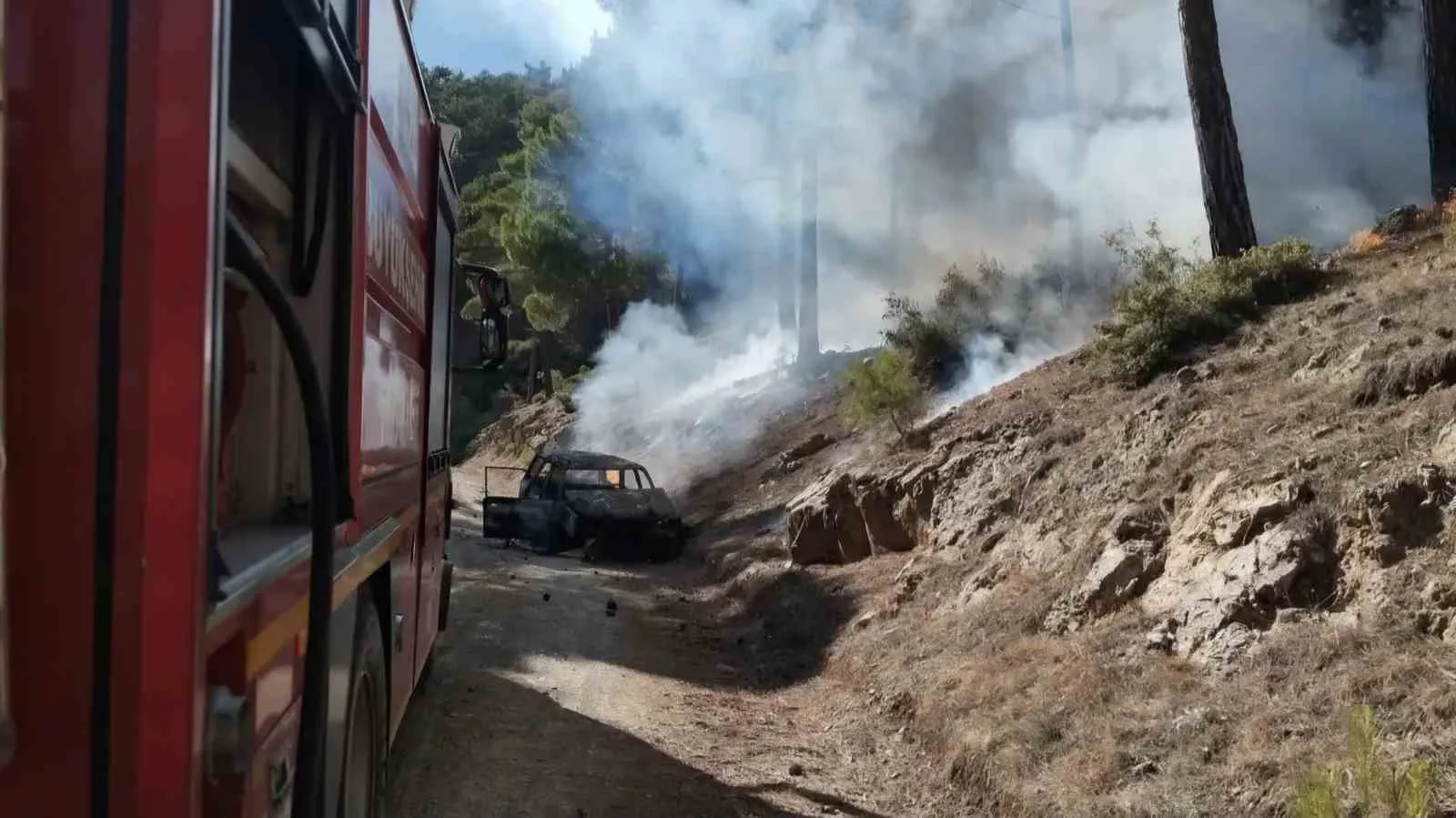 Orman yolunda alev alan otomobil yangına neden oldu - 2