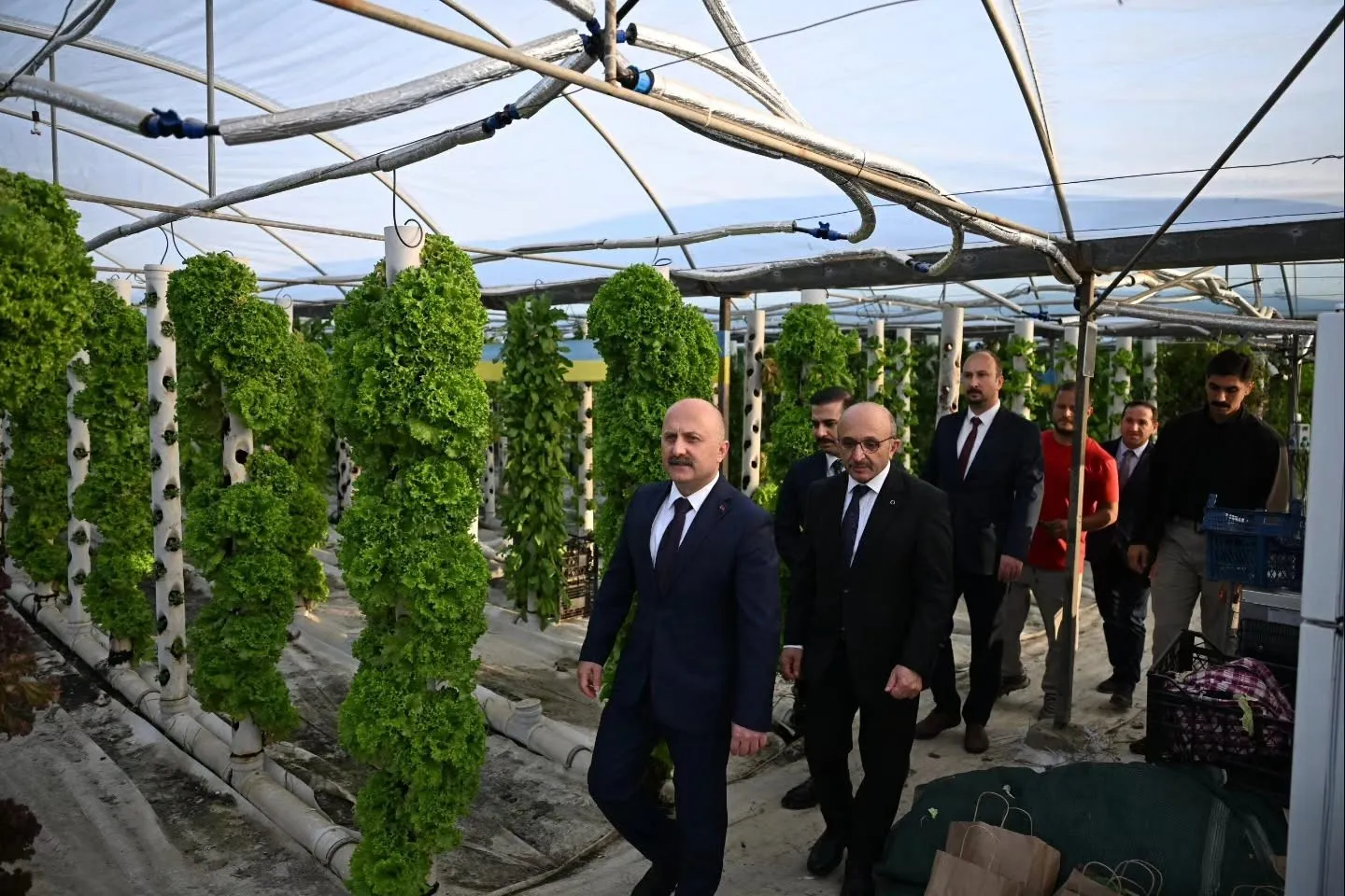 Aydın Valisi Varol, ADÜ Ziraat Fakültesi’nin uygulama alanlarını inceledi - 5