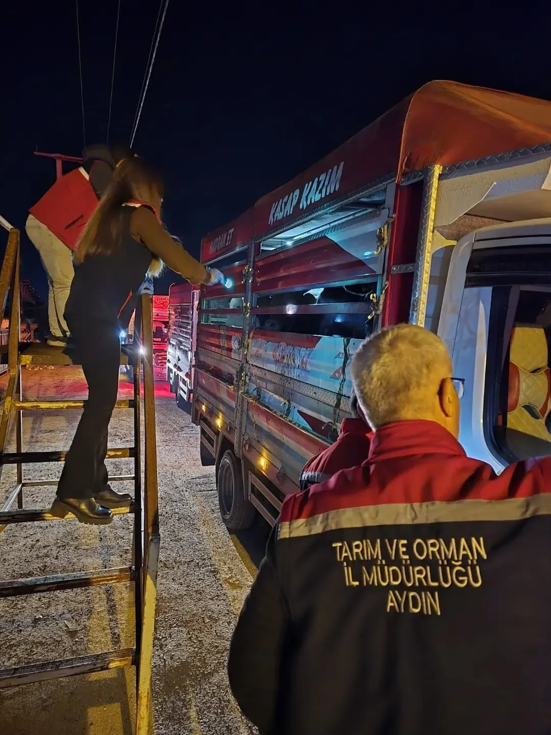 Aydın’da hayvan pazarında sıkı denetim - 2