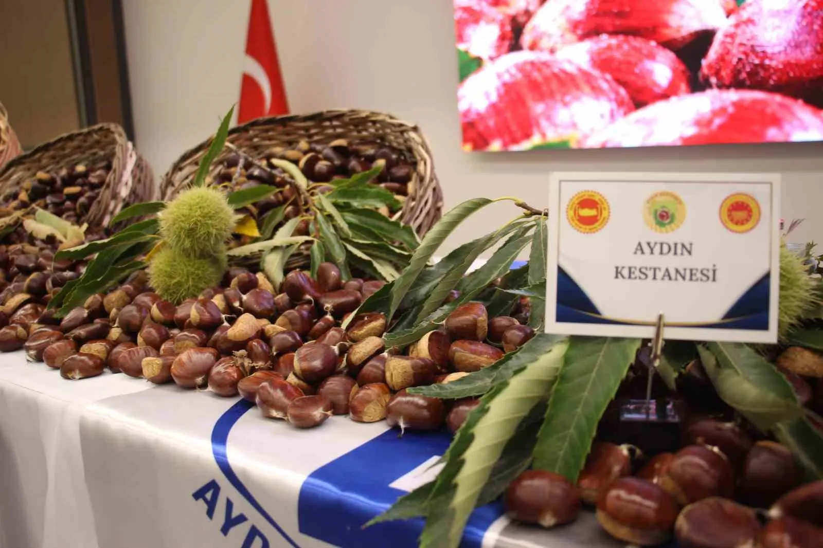 Aydın kestanesinde sezonun ilk ürünü 600 TL’den alındı - 6