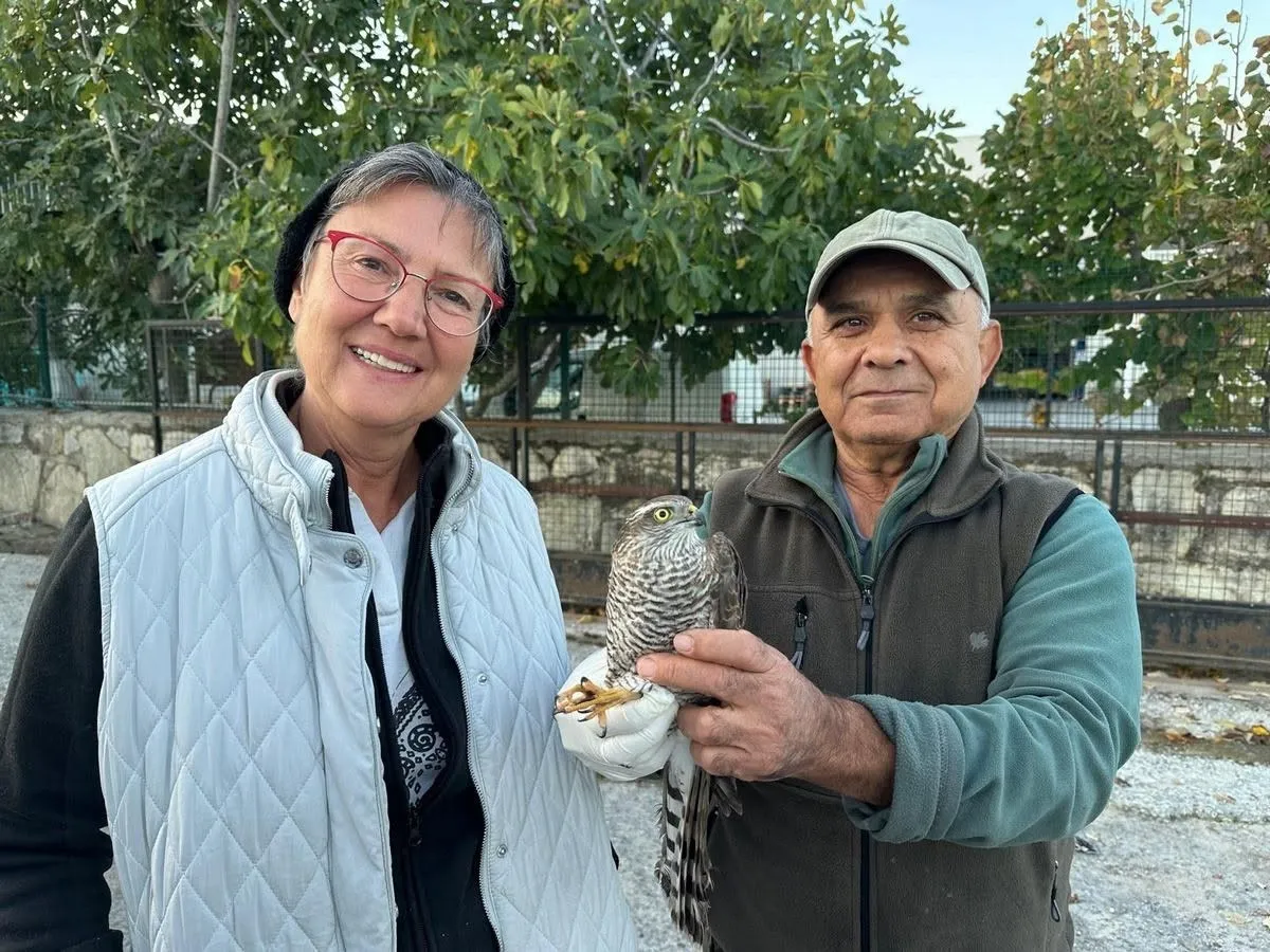 Kuşadası’nda kurtarılan atmaca ve sansar yeniden doğaya bırakıldı - 2