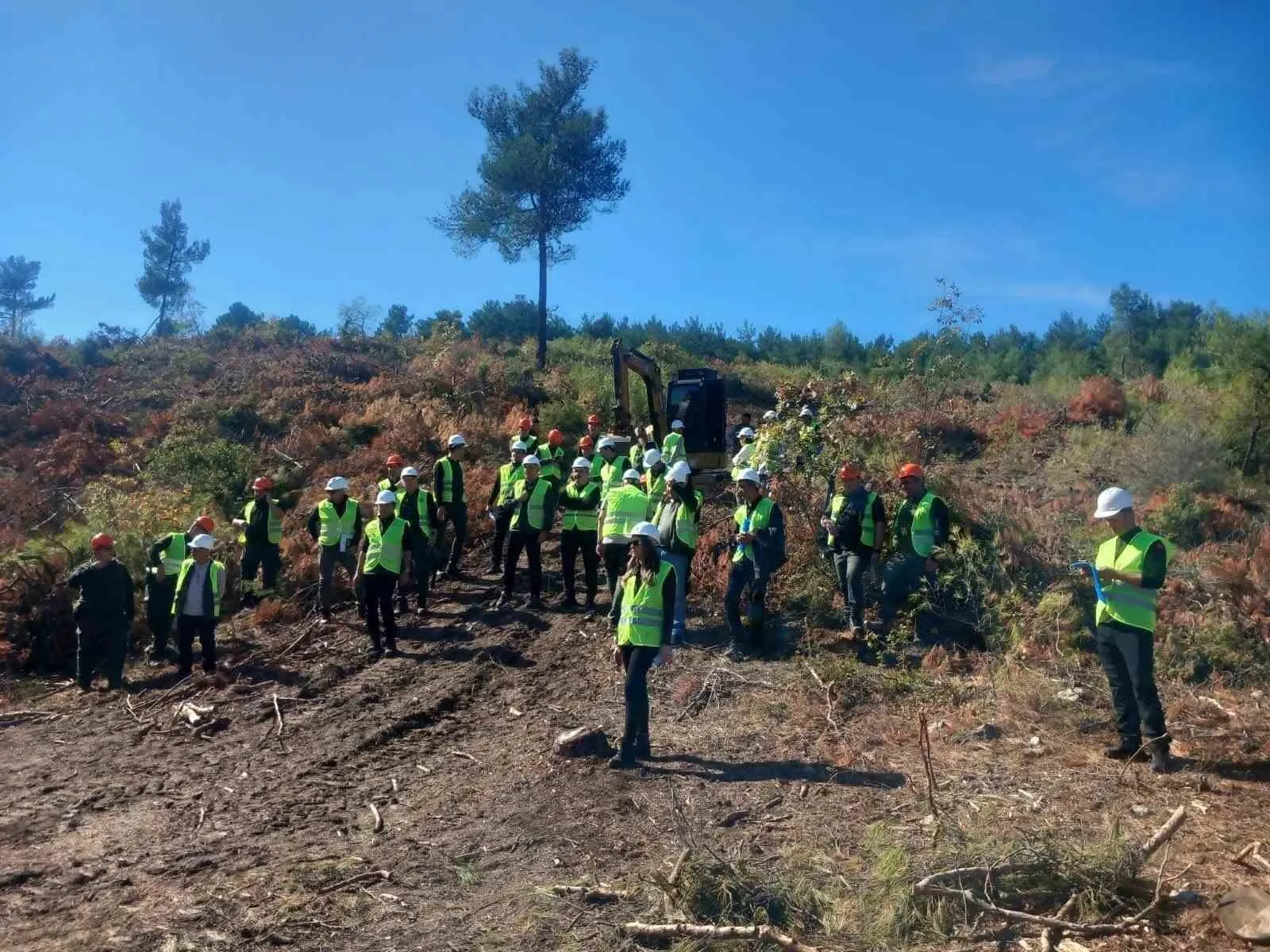 Akhisar’da ormanların geleceği için sahada eğitim - 5