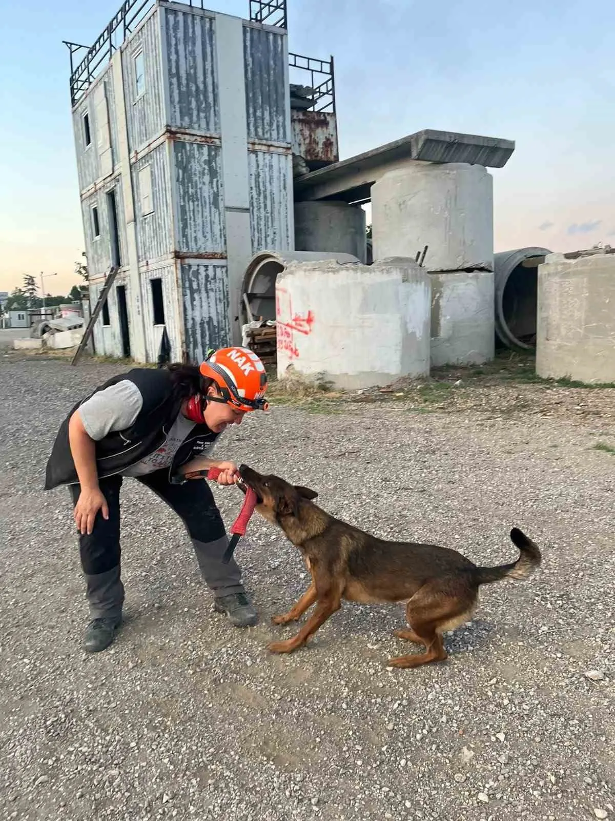 Muğla’nın arama kurtarma köpekleri Tayga ve Foxy görev yeterlilik sınavını geçti - 4