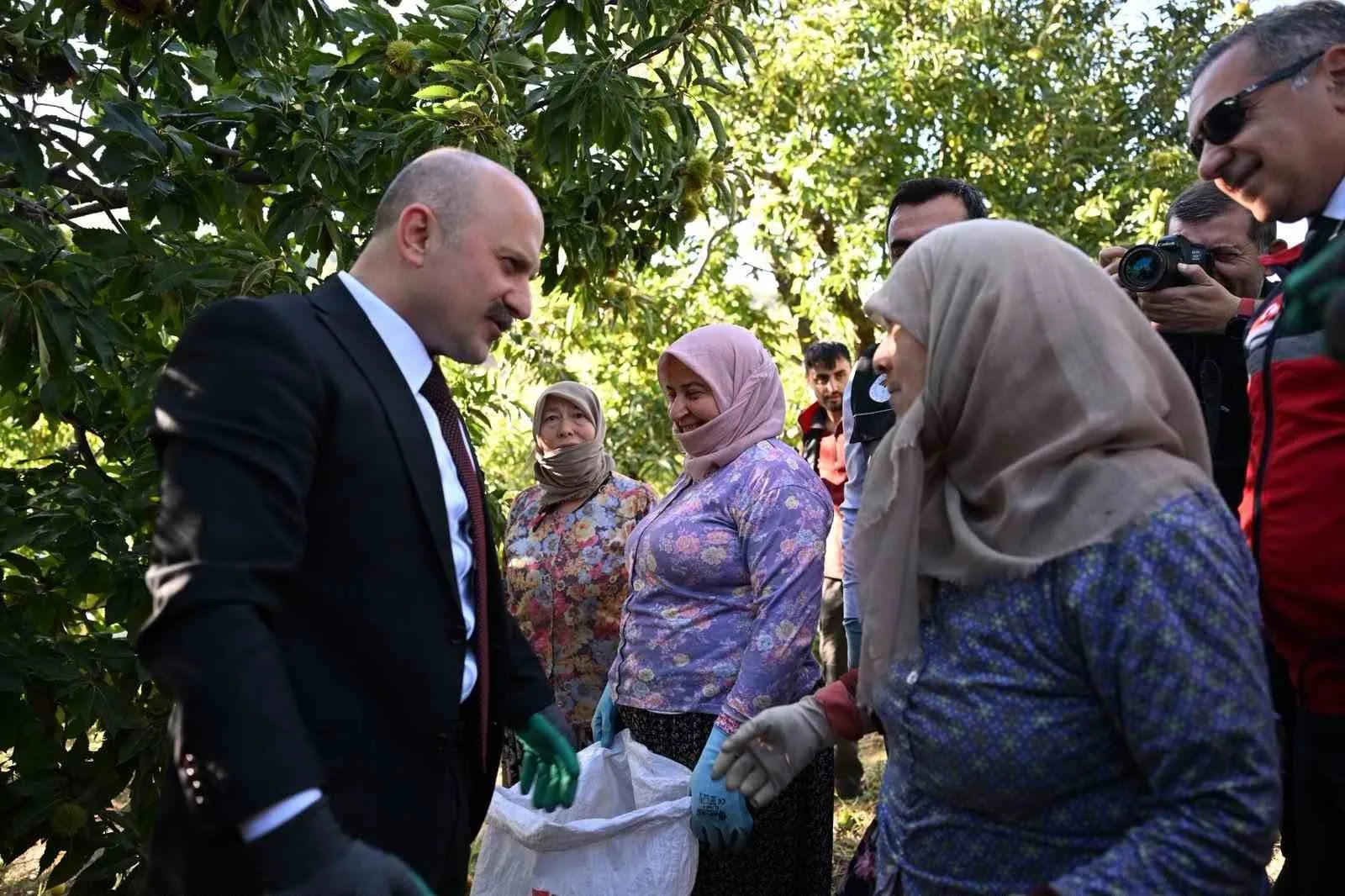 Aydın’da 5 bin 629 kestane üreticisi hasat heyecanı yaşıyor - 4