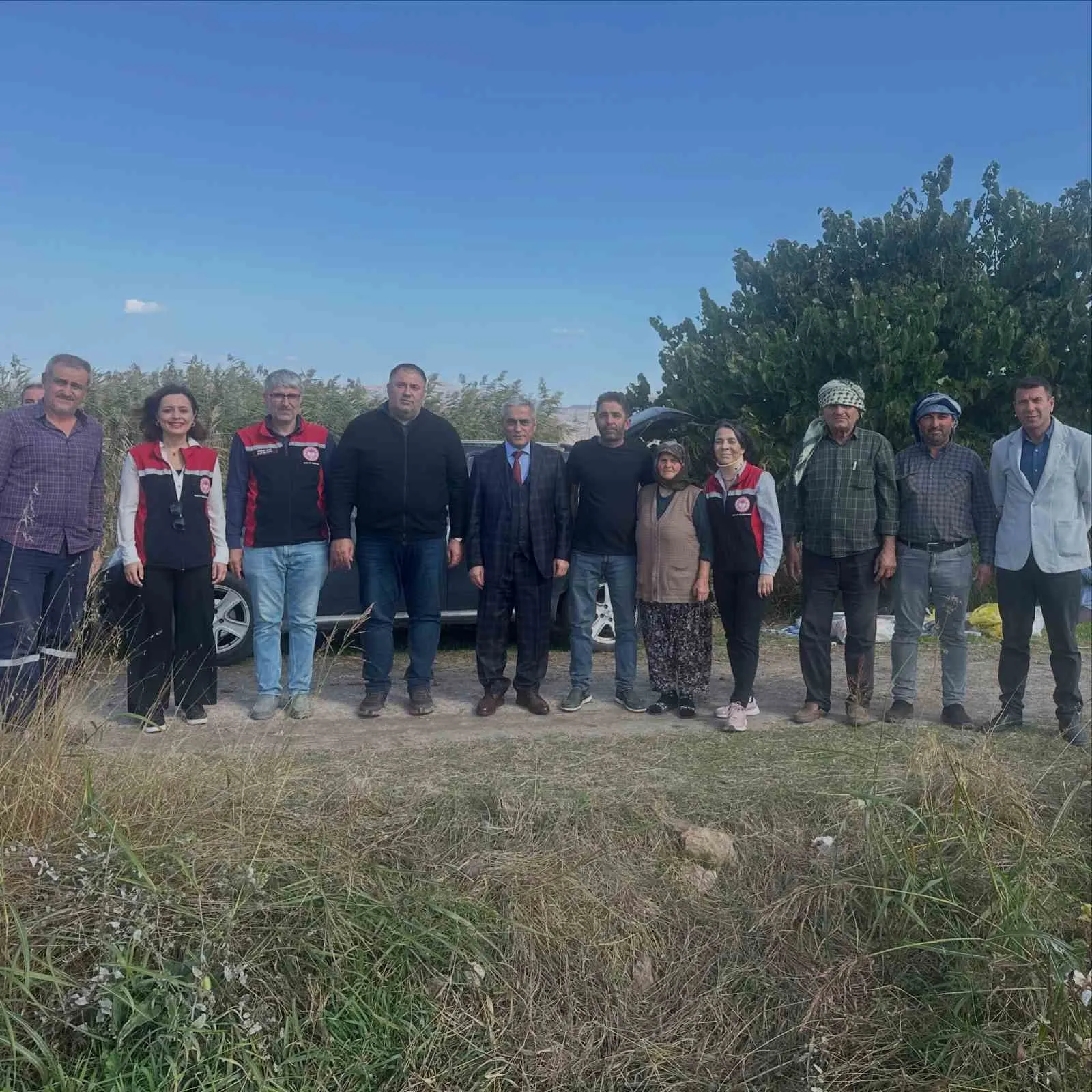 Aliağa’da beyaz altın hasadı başladı - 5
