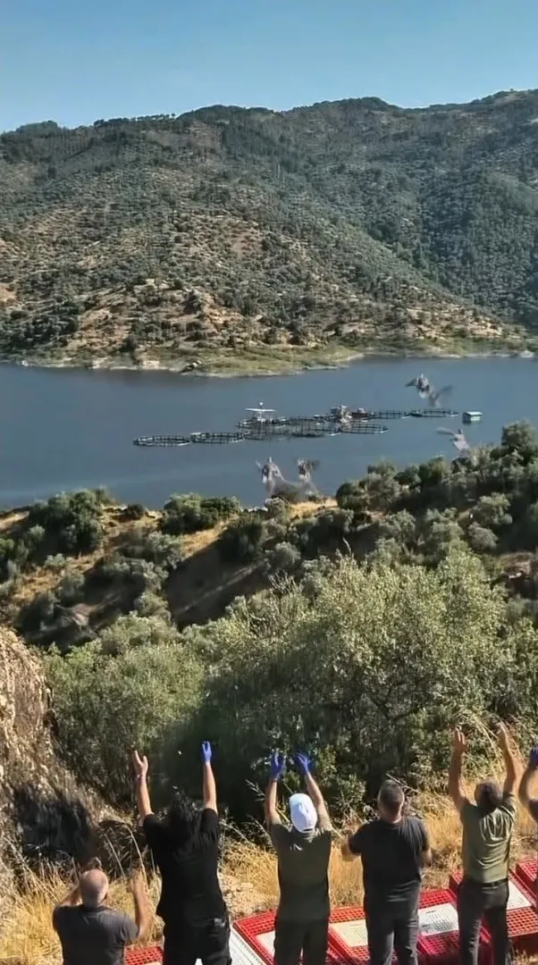 Aydın’da doğal yaşam alanlarına kınalı keklik salımı yapıldı - 2
