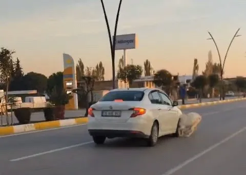 Karayoluna fırlayan 3 keçi aracın çarpması sonucu telef oldu