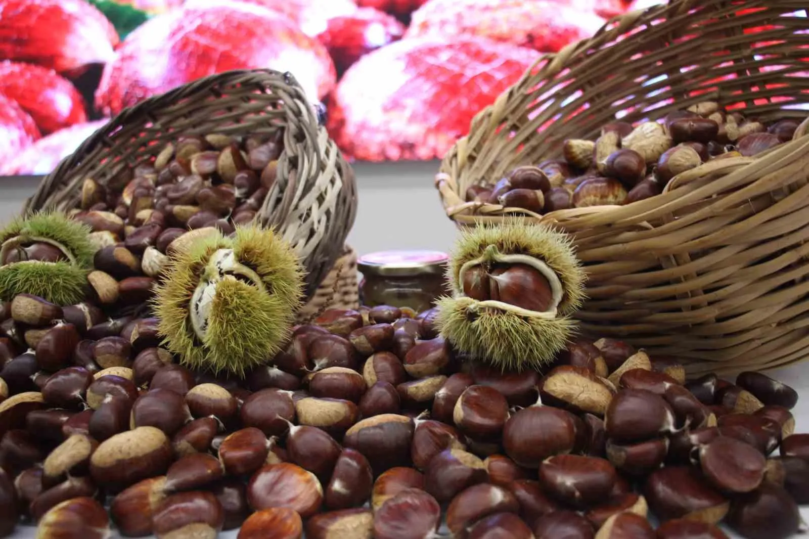 Aydın kestanesinde sezonun ilk ürünü 600 TL’den alındı - 4