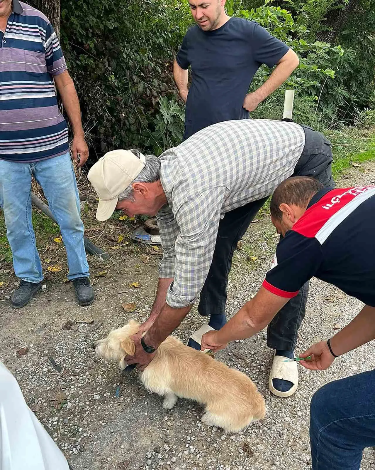 Ortaca’da kedi ve köpeklere kuduz aşısı - 3