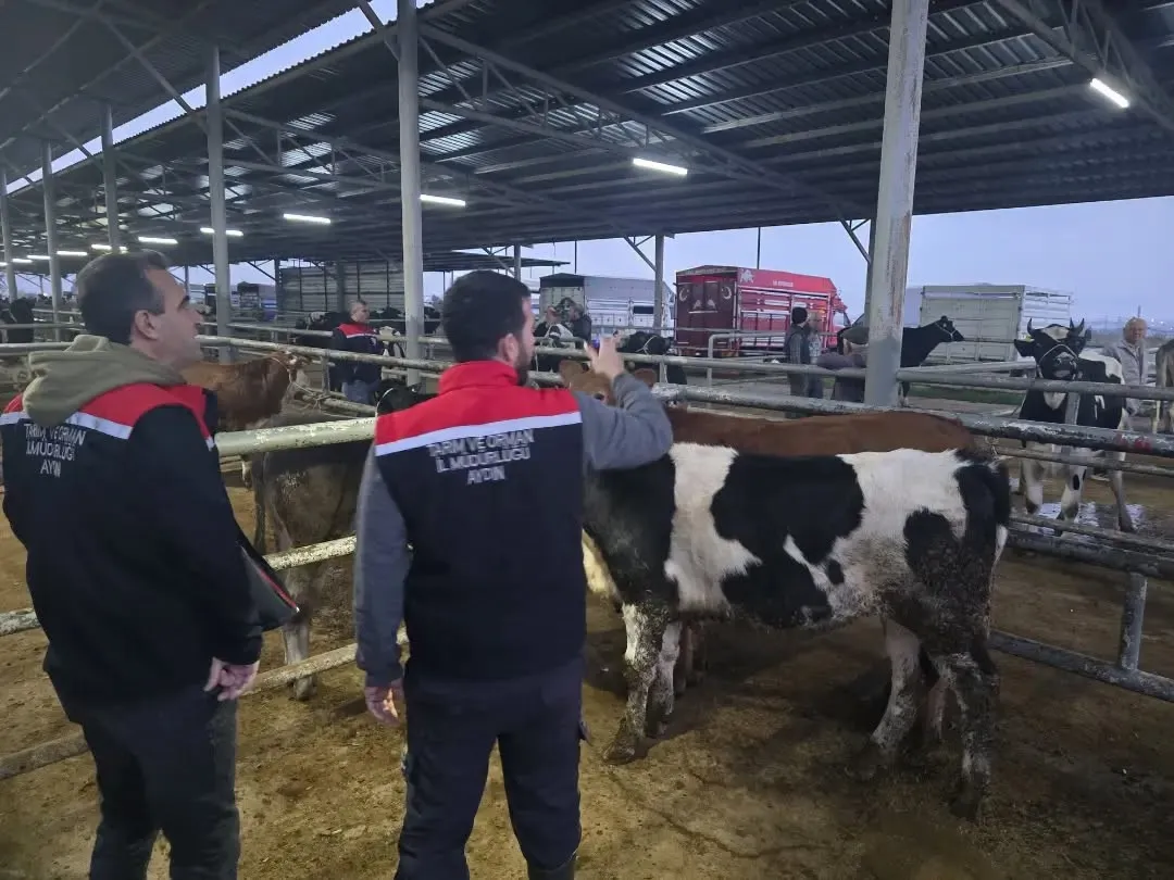 Aydın’da hayvan pazarlarında sıkı denetim - 3