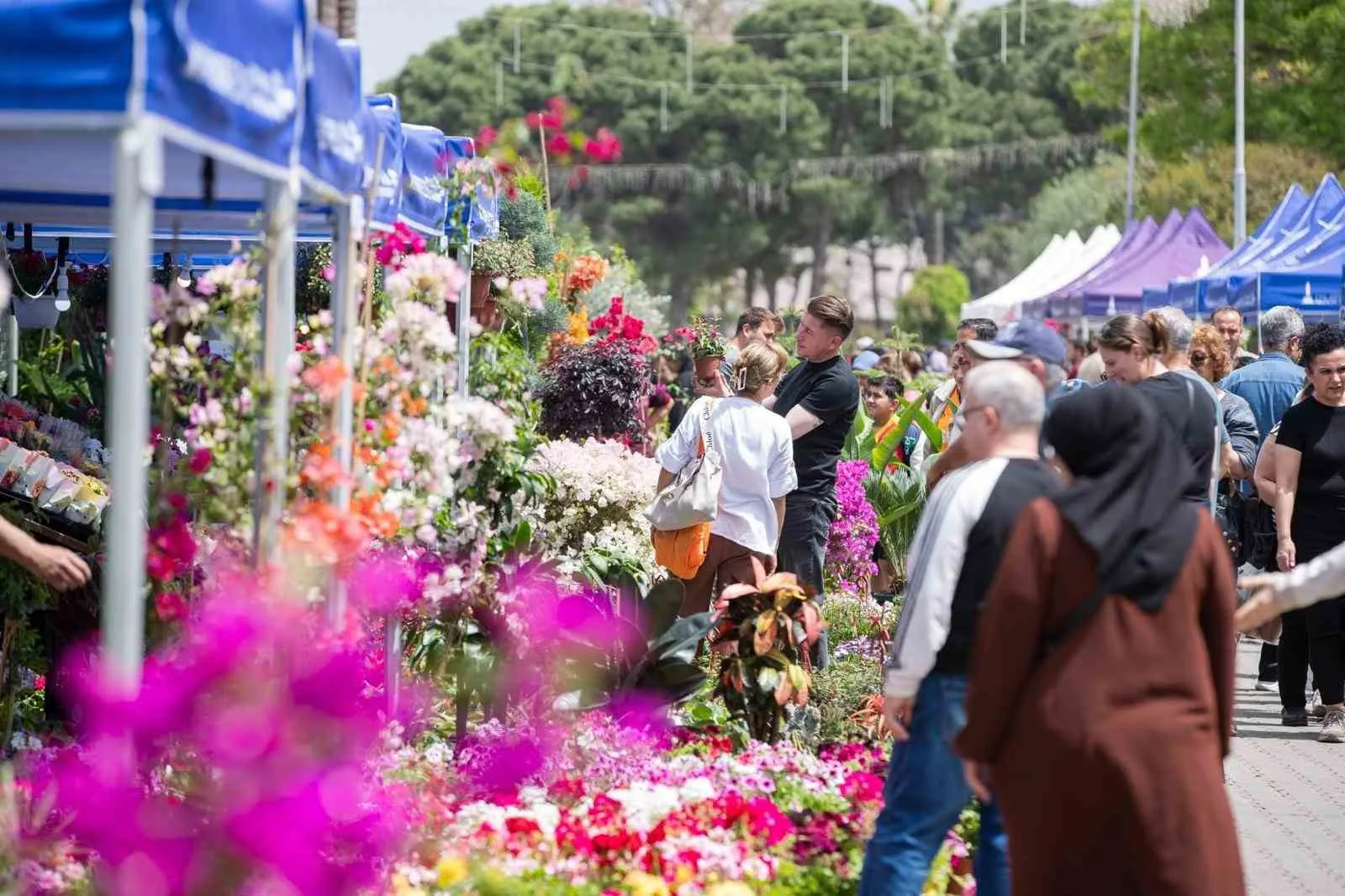 Kültürpark’ta çiçek ve bal festivali başlıyor