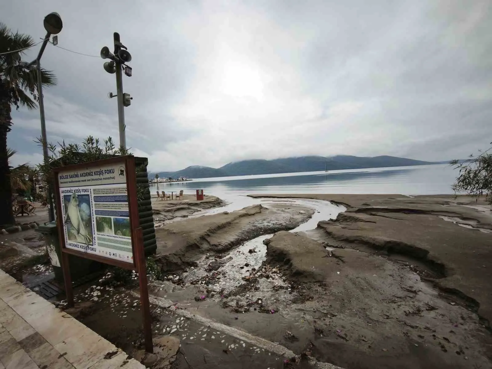 Muğla’da sakin kentin sahili kullanılmaz hale geldi - 6