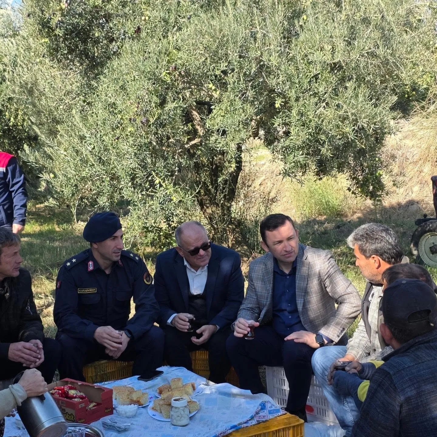 Kuyucak’ta zeytin bahçelerinde hasat mesaisi - 4