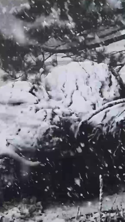 Muğla’ya sezonun ilk karı yağdı